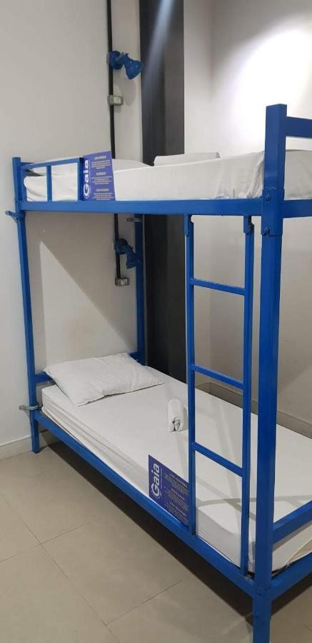 Gaia Hostel ริโอเดจาเนโร ภายนอก รูปภาพ
